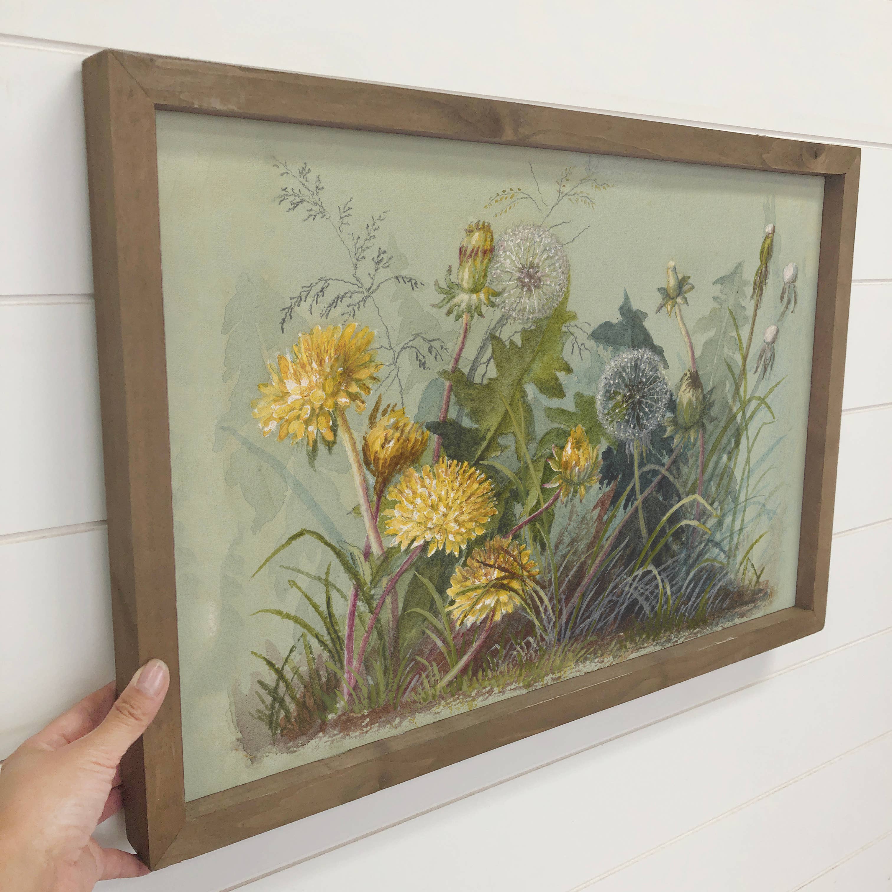 Dandelion Botanicals - Flower Canvas Art - Wood Framed Art