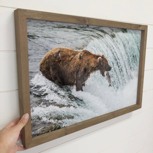 Bear Catching Salmon - Wildlife Photography - Wood Framed