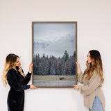 Winter Elk Scene - Wildlife Photograph Canvas Art - Framed