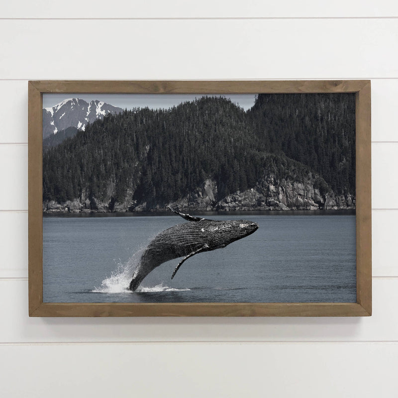 Humpback Whale Pacific Coast - Framed Animal Photography Art