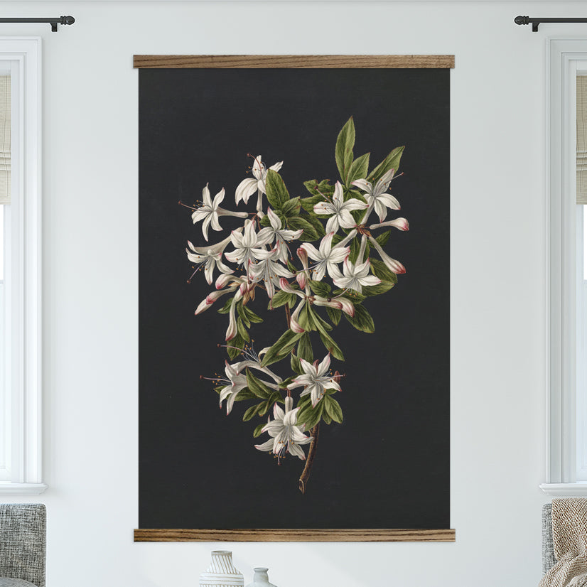 Azaleas on Black - Floral Canvas Art - Wood Framed Wall Art