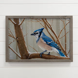 Blue Jay Bird in Snow - Wildlife Canvas Art - Wood Framed