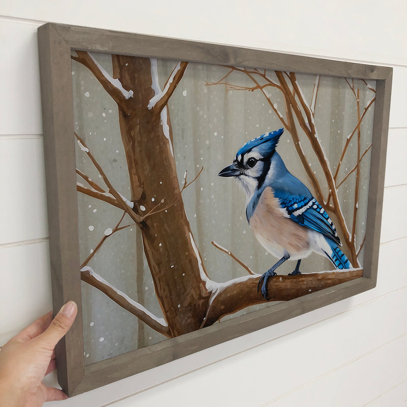 Blue Jay Bird in Snow - Wildlife Canvas Art - Wood Framed