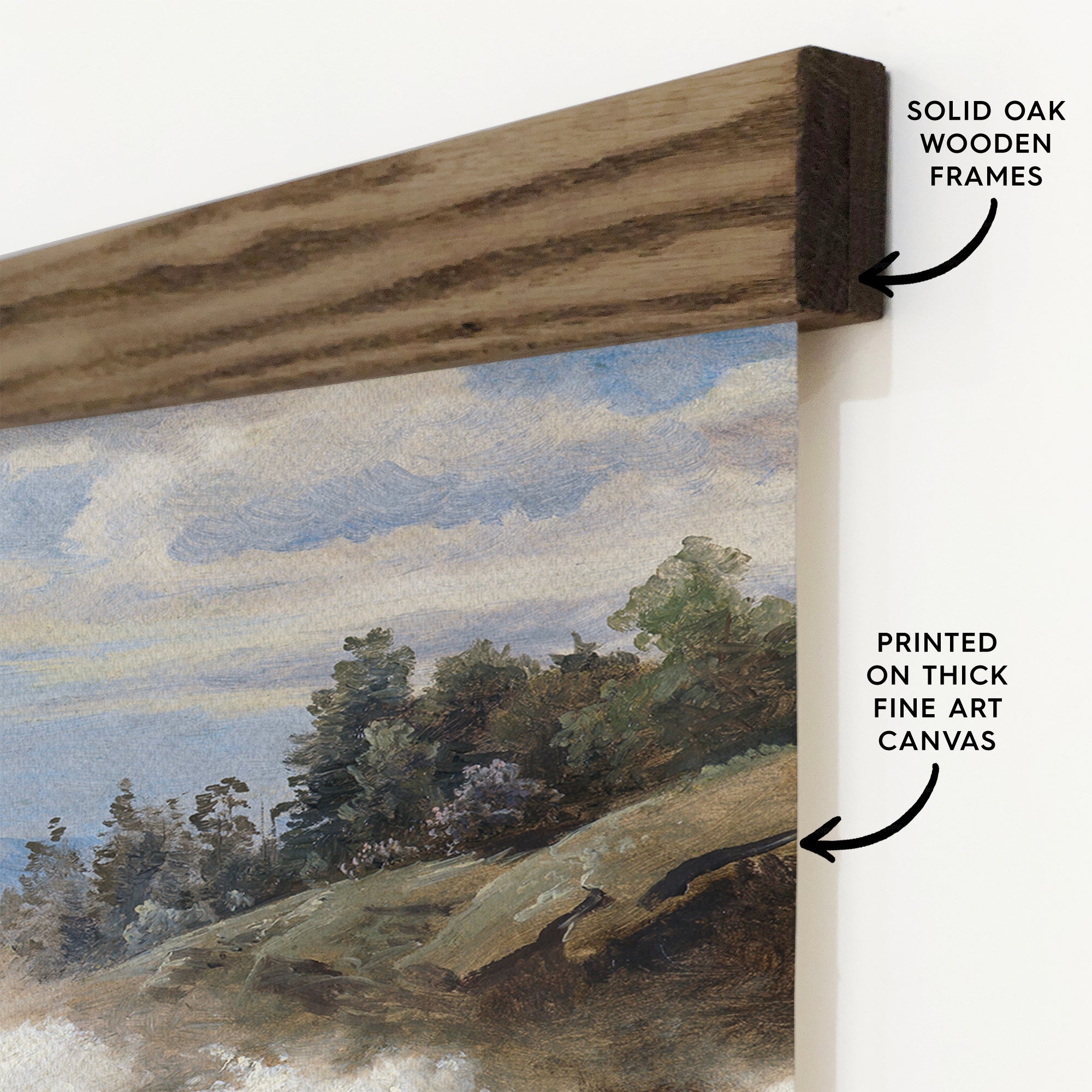 Cliff Vista - Cliff Landscape Canvas Art - Wood Framed Art