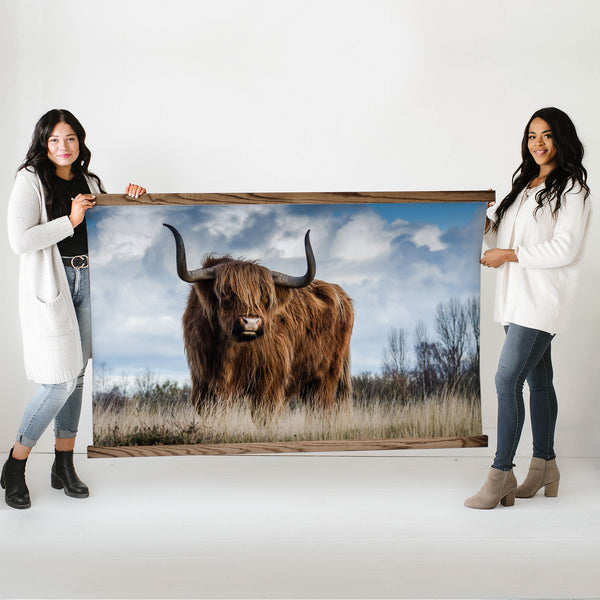 Highland Cow Large Canvas Wall Art