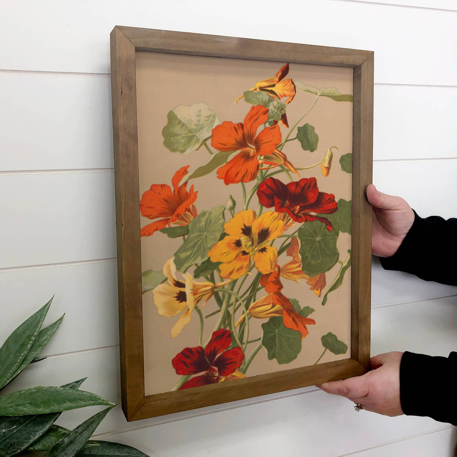 Nasturtiums Botanical - Flower Canvas Art - Wood Framed Art