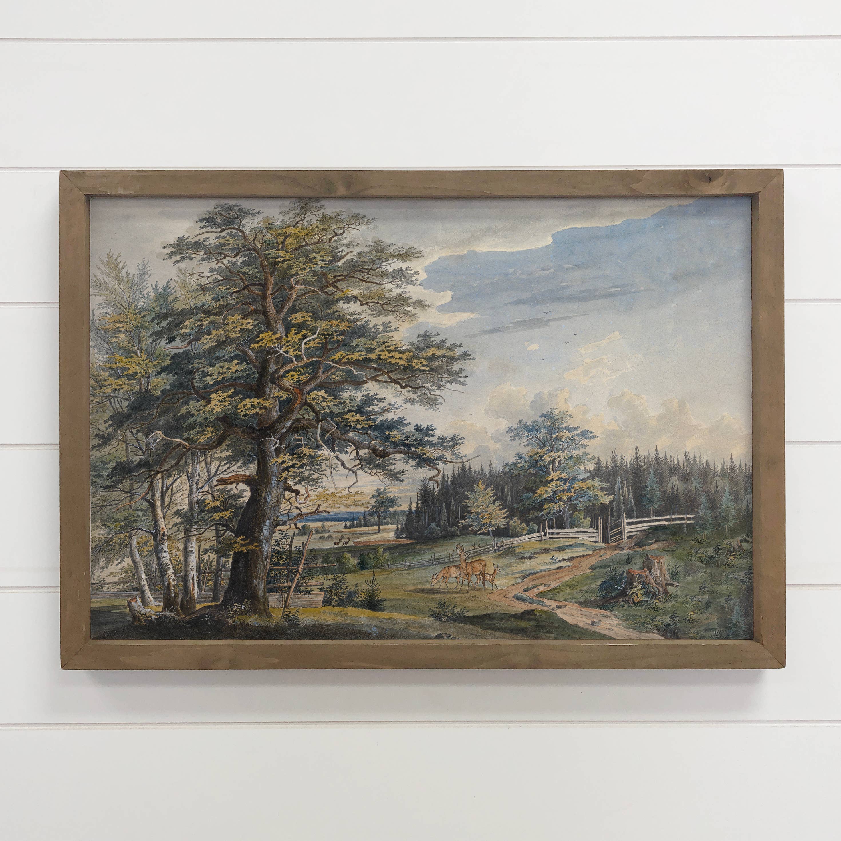 Woodland Landscape with Stag - Nature Canvas Art - Framed