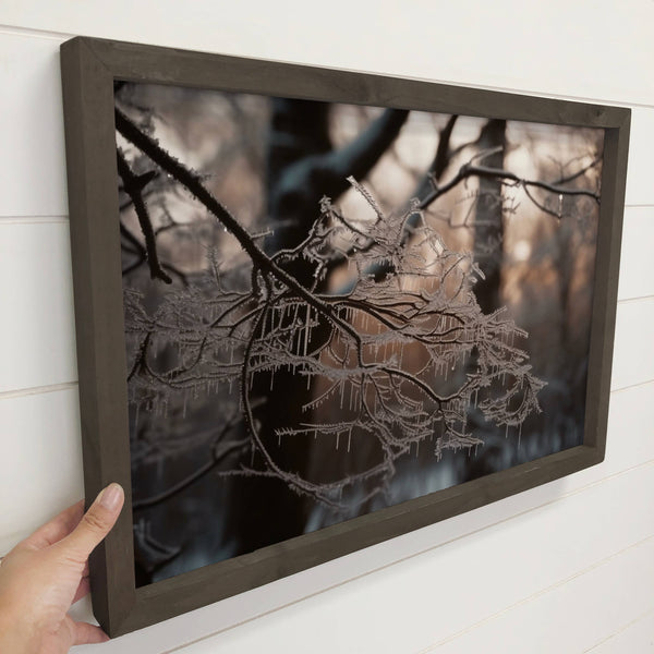 Frosty Tree Branch - Winter Season Photography - Nature Art