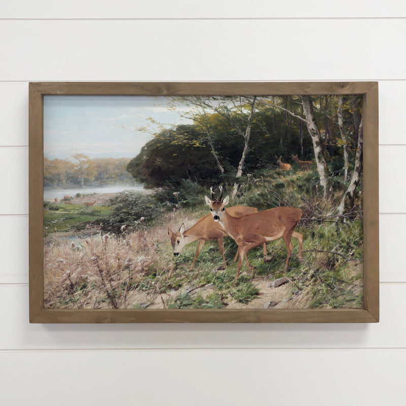 Deer in the Clearing - Wildlife Canvas Art - Wood Framed Art