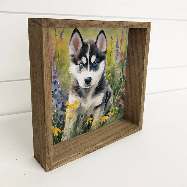 Wildflower Husky - Springtime Dog Canvas Art - Wood Framed