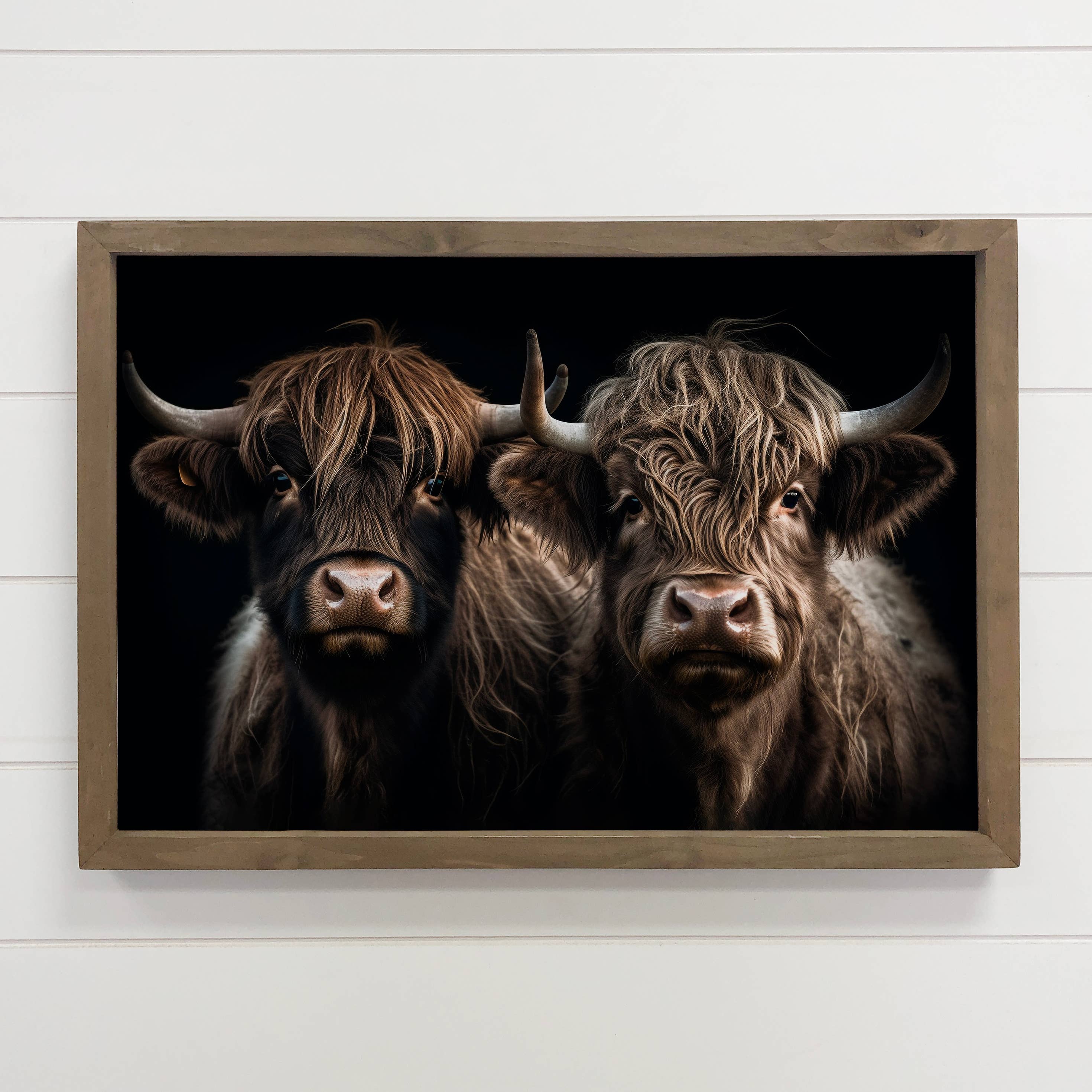 Highland Cow Pair Dark - Animal Photograph - Wood Framed Art