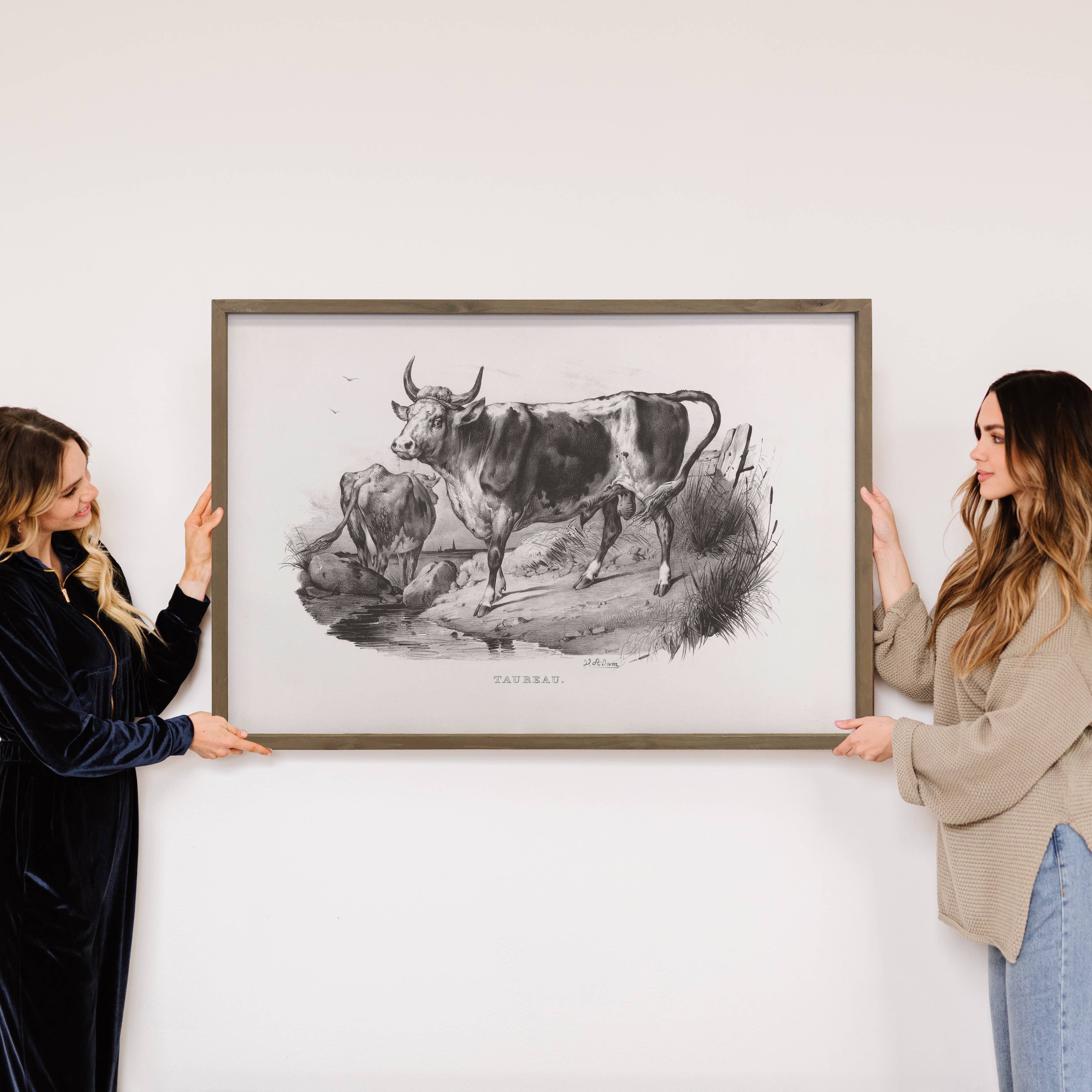 Bull Cow Sketch - Farmhouse Canvas Wall Art - Framed Artwork