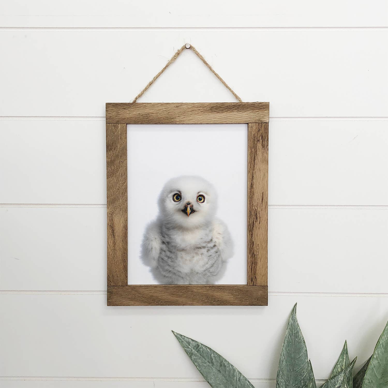 Baby Snow Owl Wood Sign Cute Animal Bird Wall Art