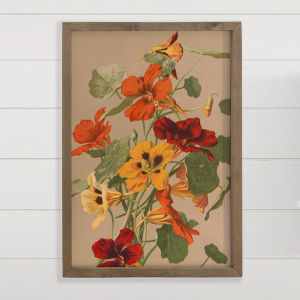 Nasturtiums Botanical - Flower Canvas Art - Wood Framed Art
