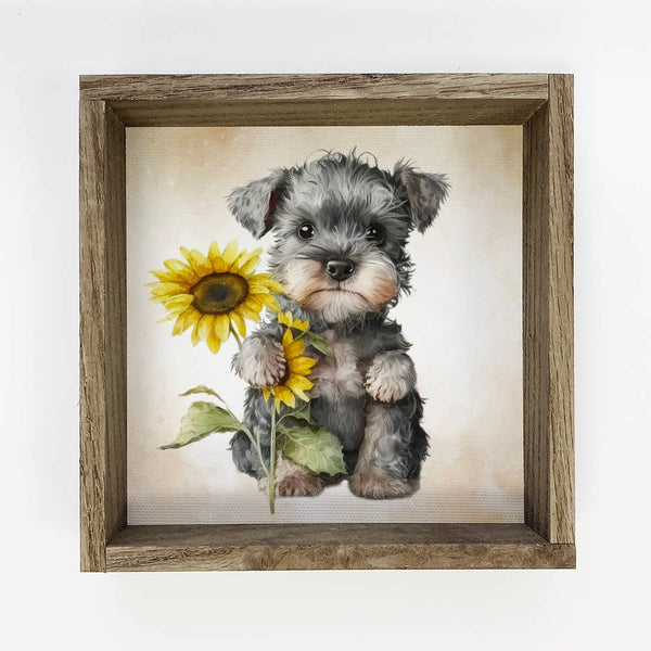 Sunflower Mini Schnauzer - Cute Puppy and Flowers - Fall Art