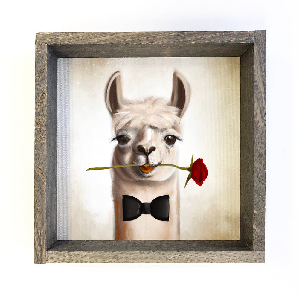 Funny Valentines Card Sign - Romantic Llama with Rose