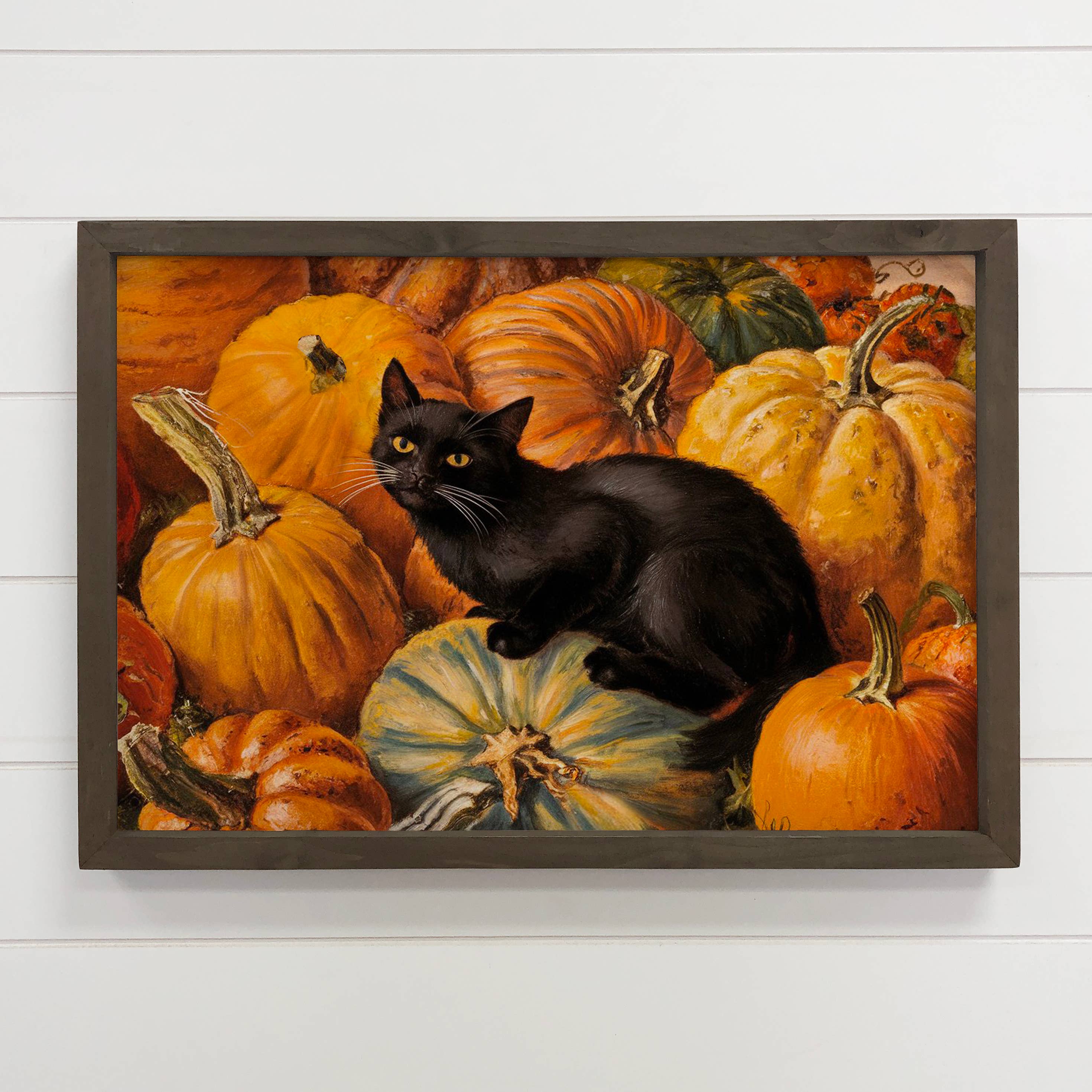 Black Cat in Pumpkins - Fall Canvas Art - Wood Framed Art