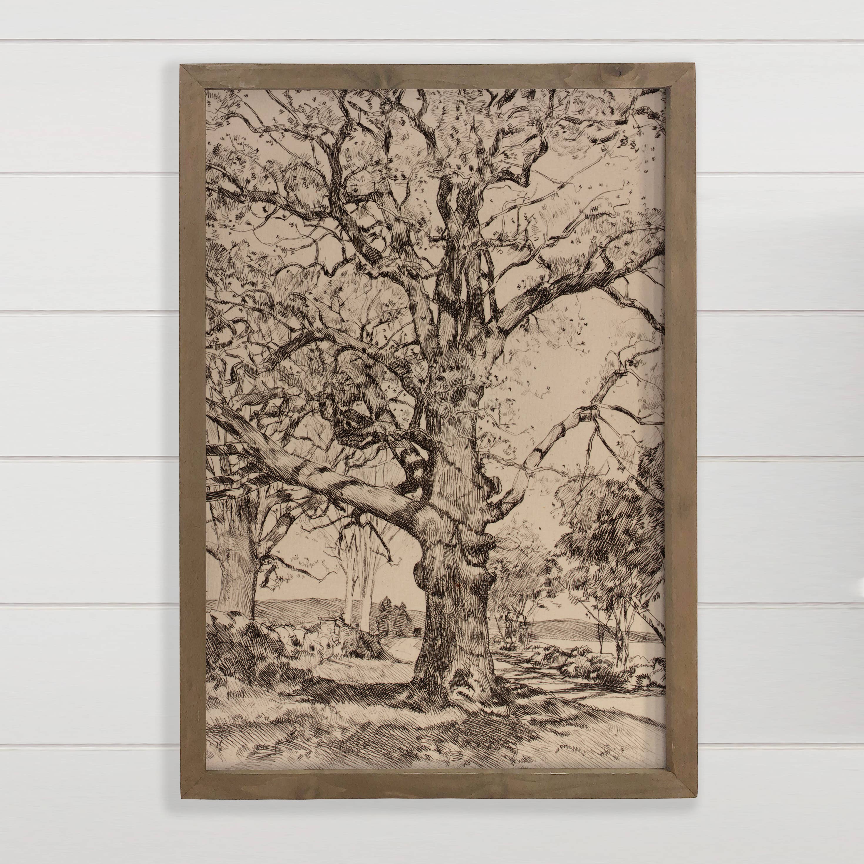 Twisted Oak Tree - Vintage Tree Sketch Canvas Art - Framed
