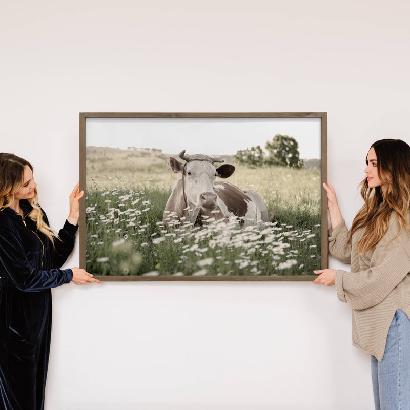 Cow in Daisies - Wood Framed Farmhouse Art - Canvas Photo