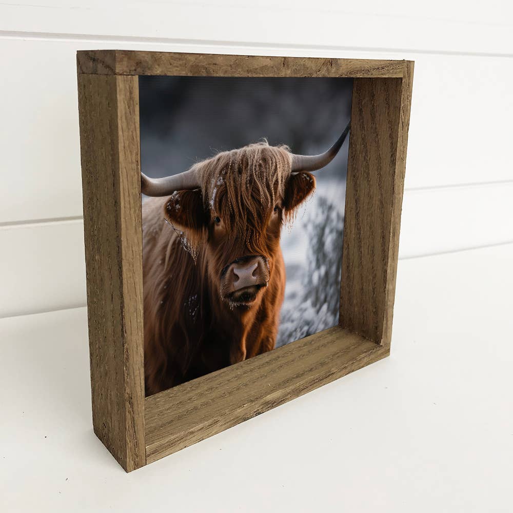 Highland Cow in Snow - Farmhouse Wall Decor - Framed Photos