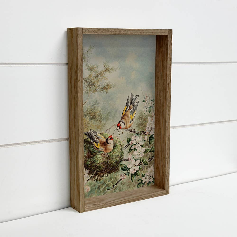 Gold Finches Spring Nest - Bird Canvas Art - Wood Framed Art