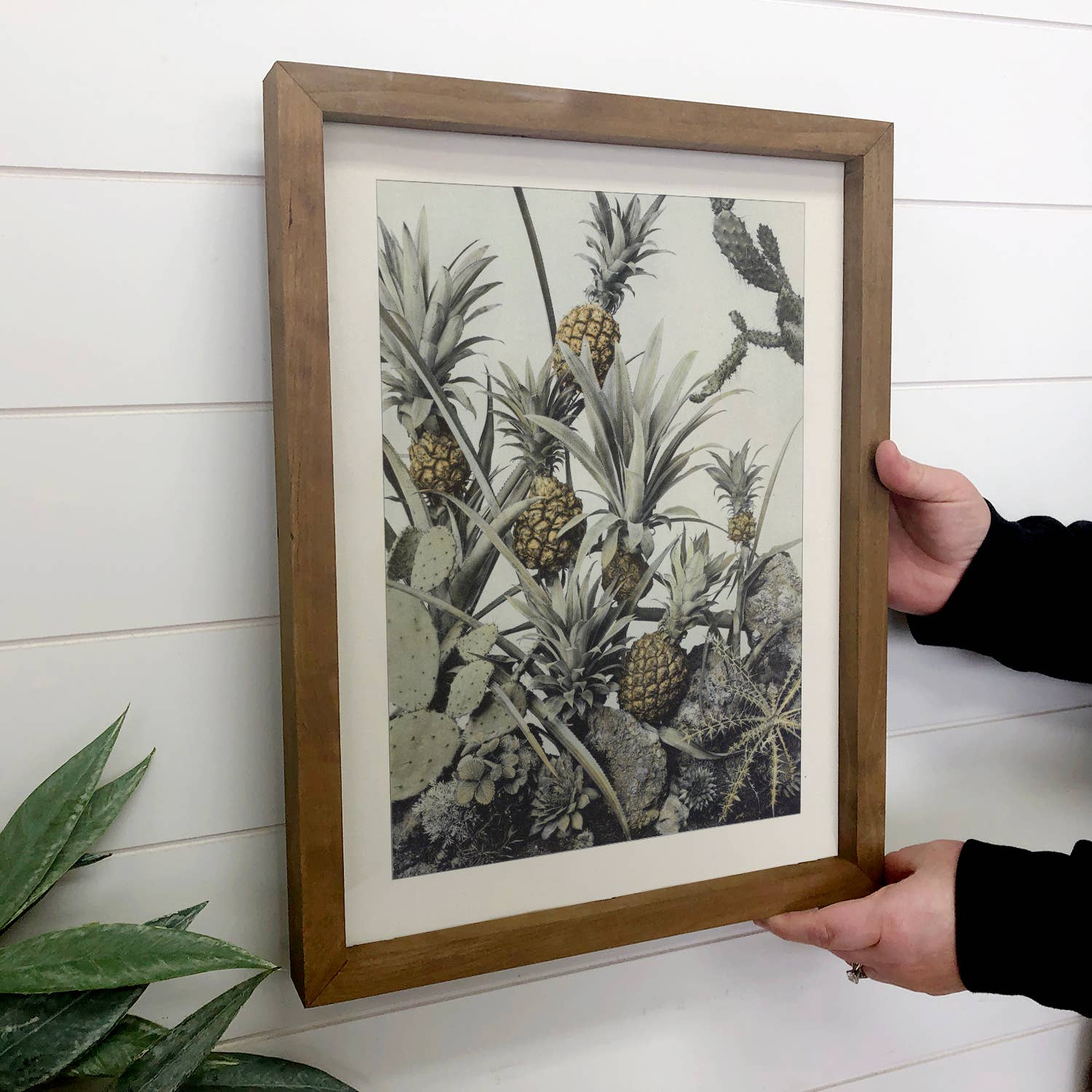 Pineapple and Cactus - Nature Fruit Canvas Art - Wood Framed