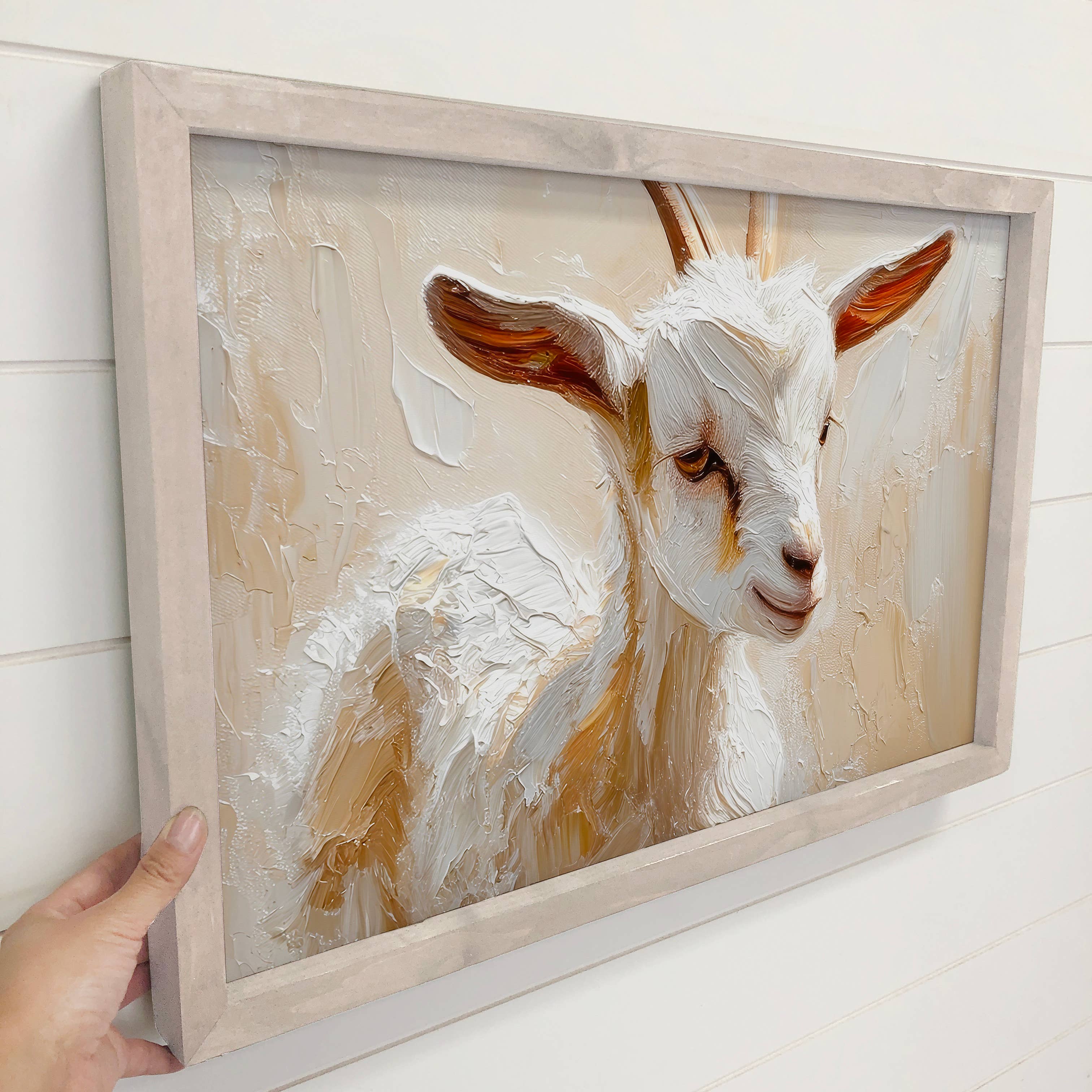 Baby White Goat - Goat Canvas Art - Wood Framed Wall Decor