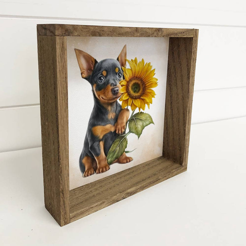 Sunflower Mini Pinscher - Cute Puppy and Flowers - Fall Art