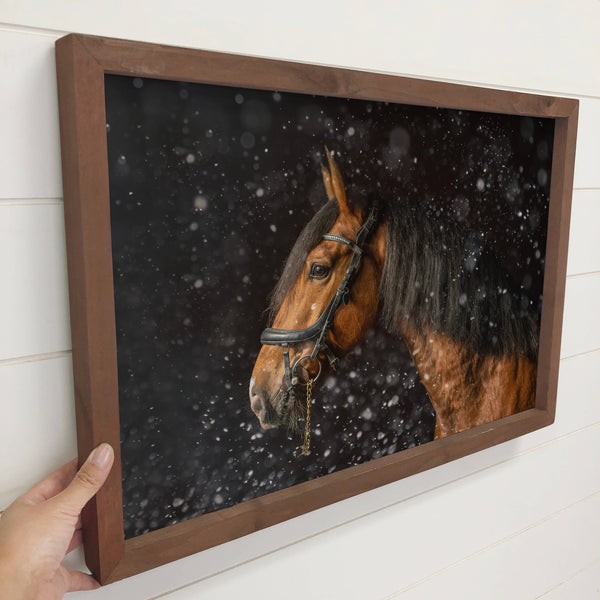 Horse in Snow - Horse Photograph Canvas Art - Wood Framed