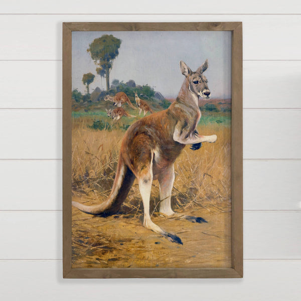 Outback Kangaroos - Wildlife Canvas Art - Wood Framed Decor