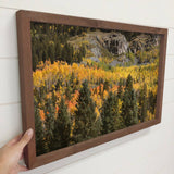 Colorado Fall Aspens - Colorado Landscape - Wood Framed Art