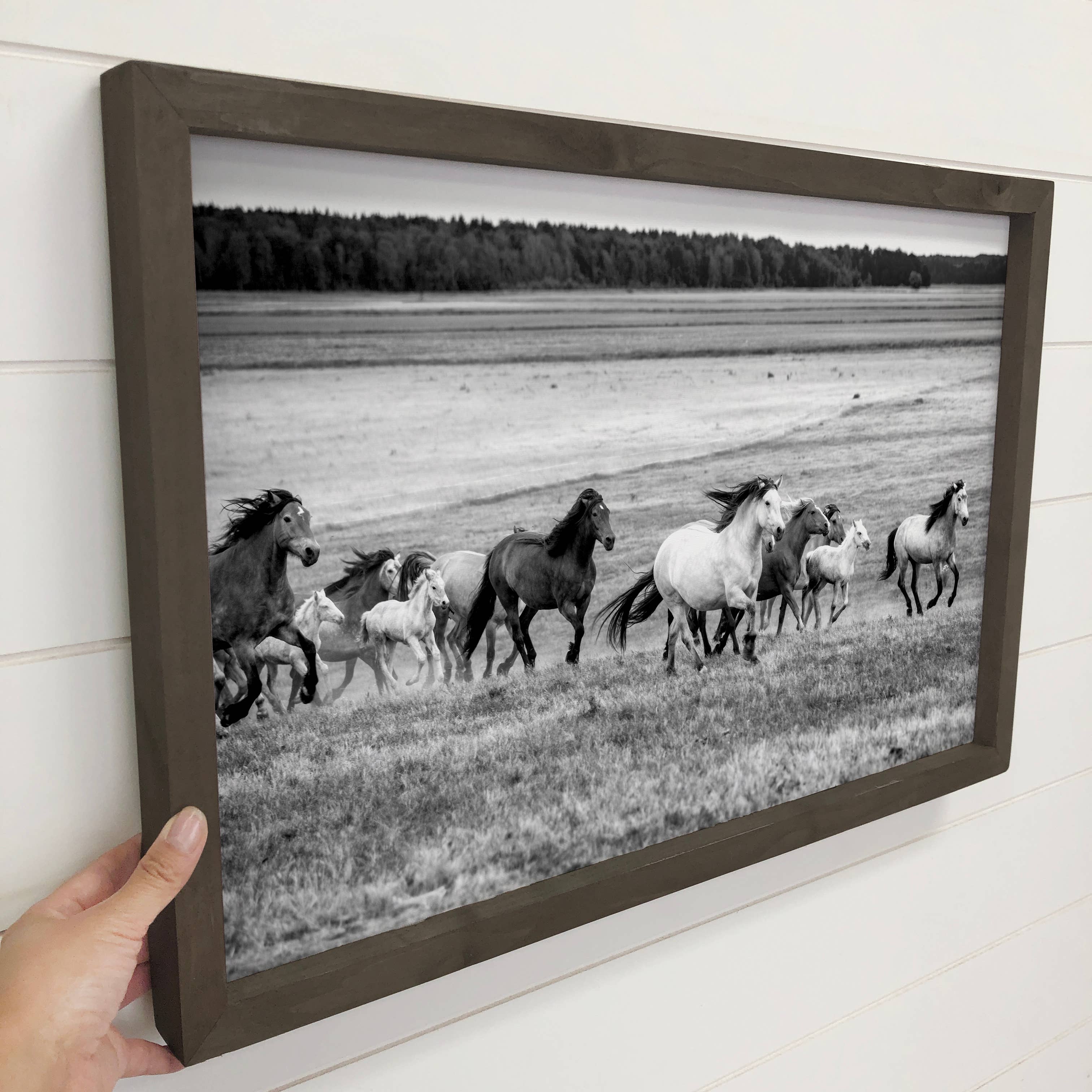 Wild Horses on the Run - Animal Photography - Wood Framed