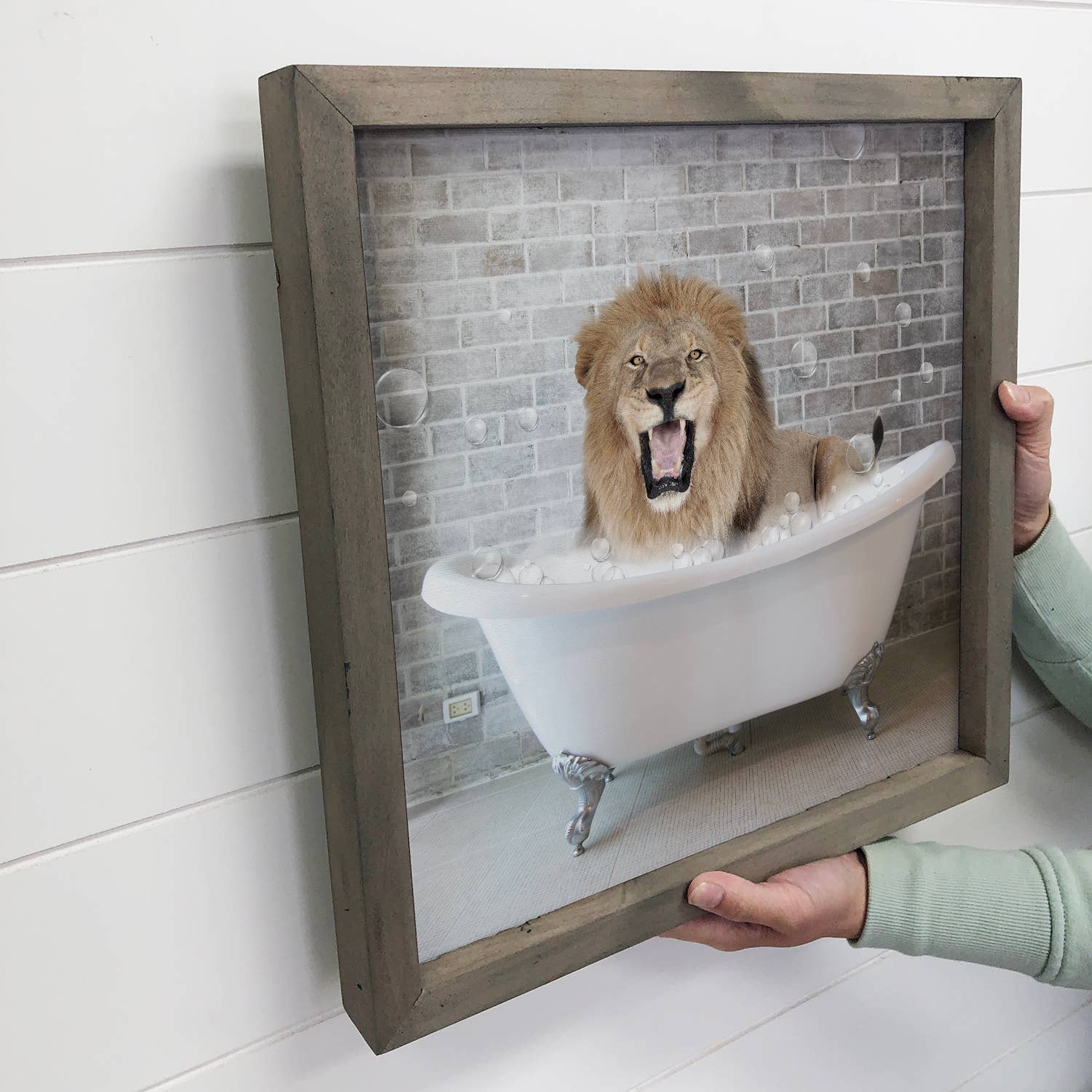 Funny Bathroom Lion in a Bathtub Greywash Wood Frame