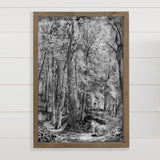 Black and White Woods - Nature Canvas Wall Art - Wood Framed