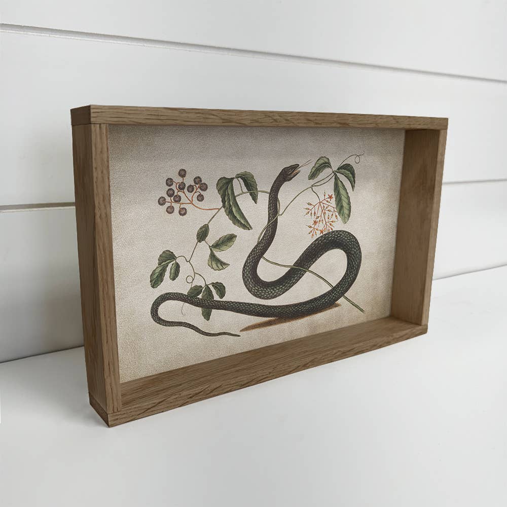 Snake and Blackberries - Snake Canvas Wall Art - Wood Framed