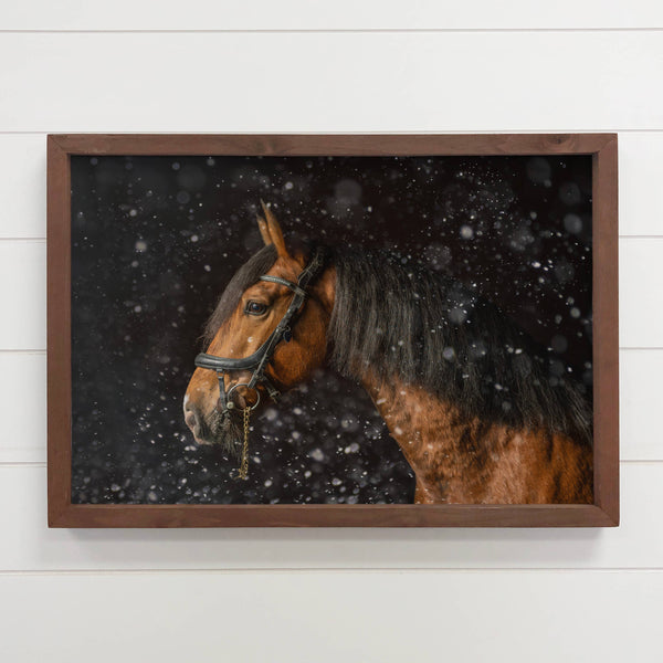 Horse in Snow - Horse Photograph Canvas Art - Wood Framed