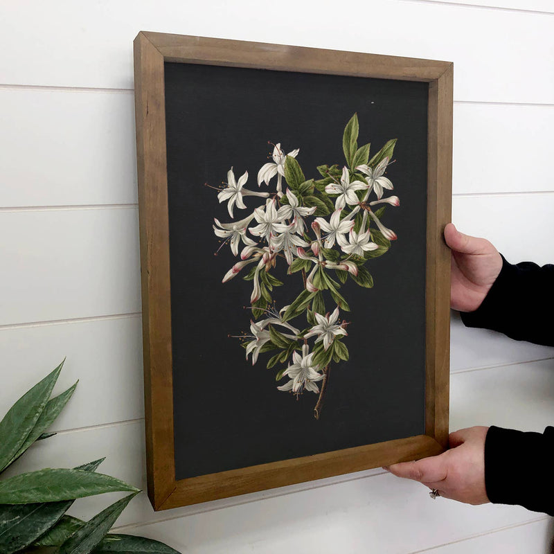 Azaleas on Black - Floral Canvas Art - Wood Framed Wall Art