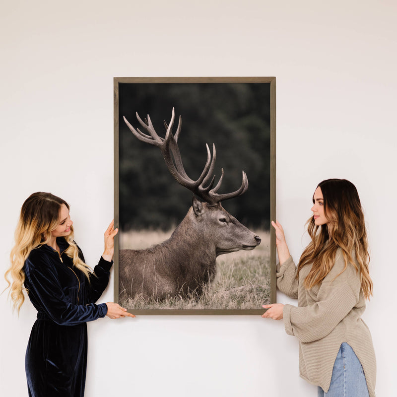 Deer in the Grass - Wildlife Photography - Wood Framed Decor