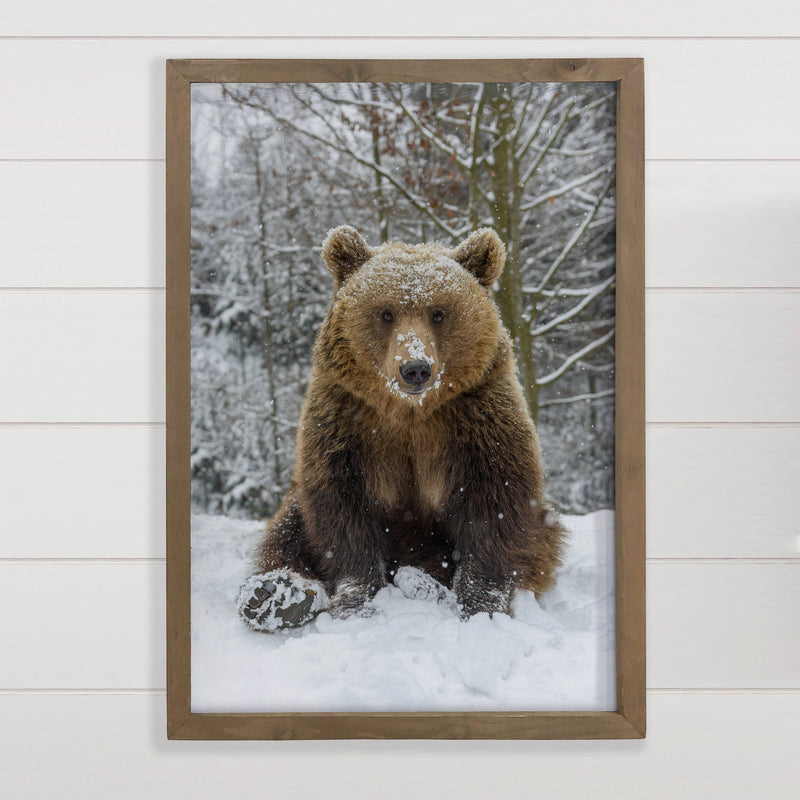 Bear in Snow - Framed Grizzly Photograph - Cabin Wall Decor