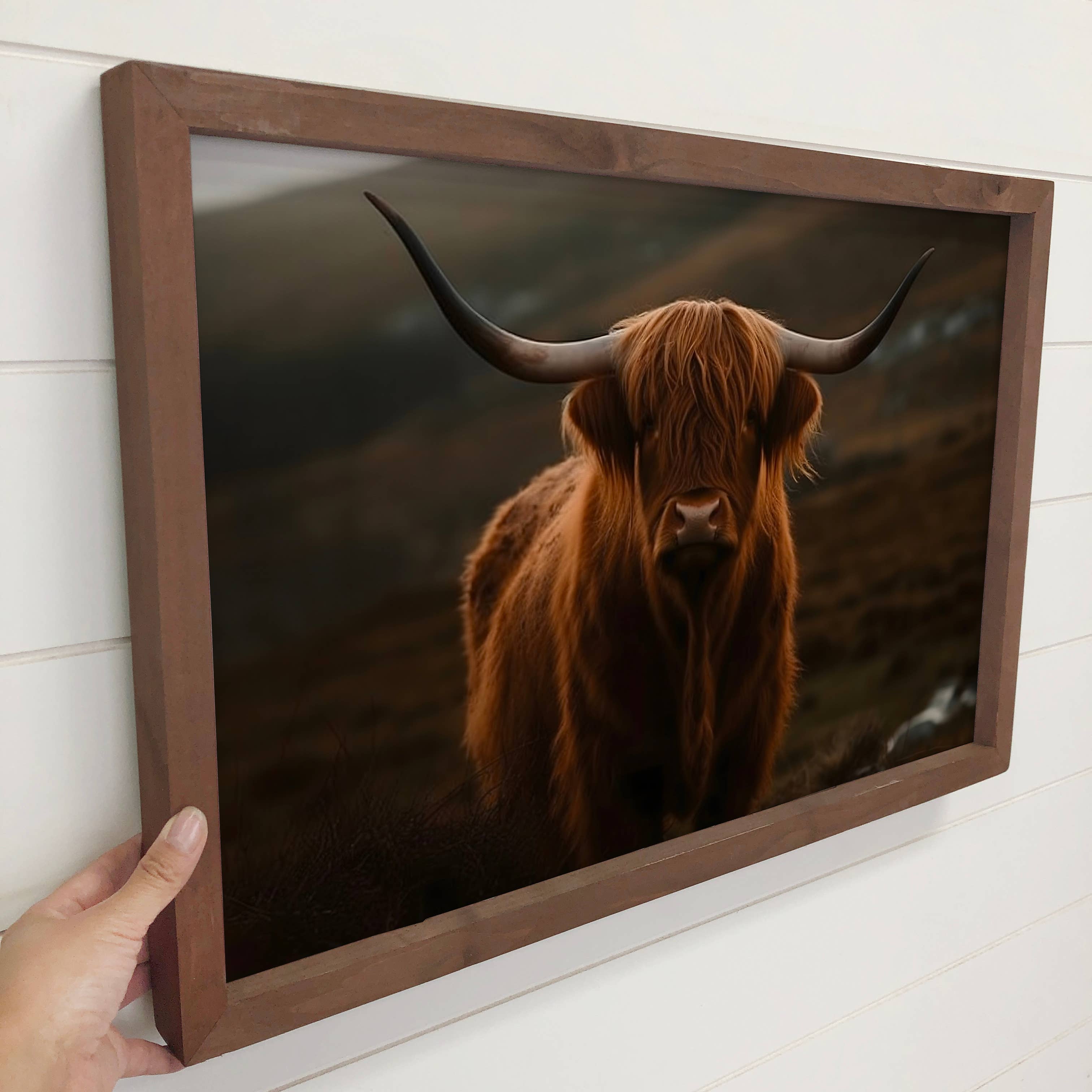 Highland Cow Dark - Framed Animal Canvas Art - Cabin Decor