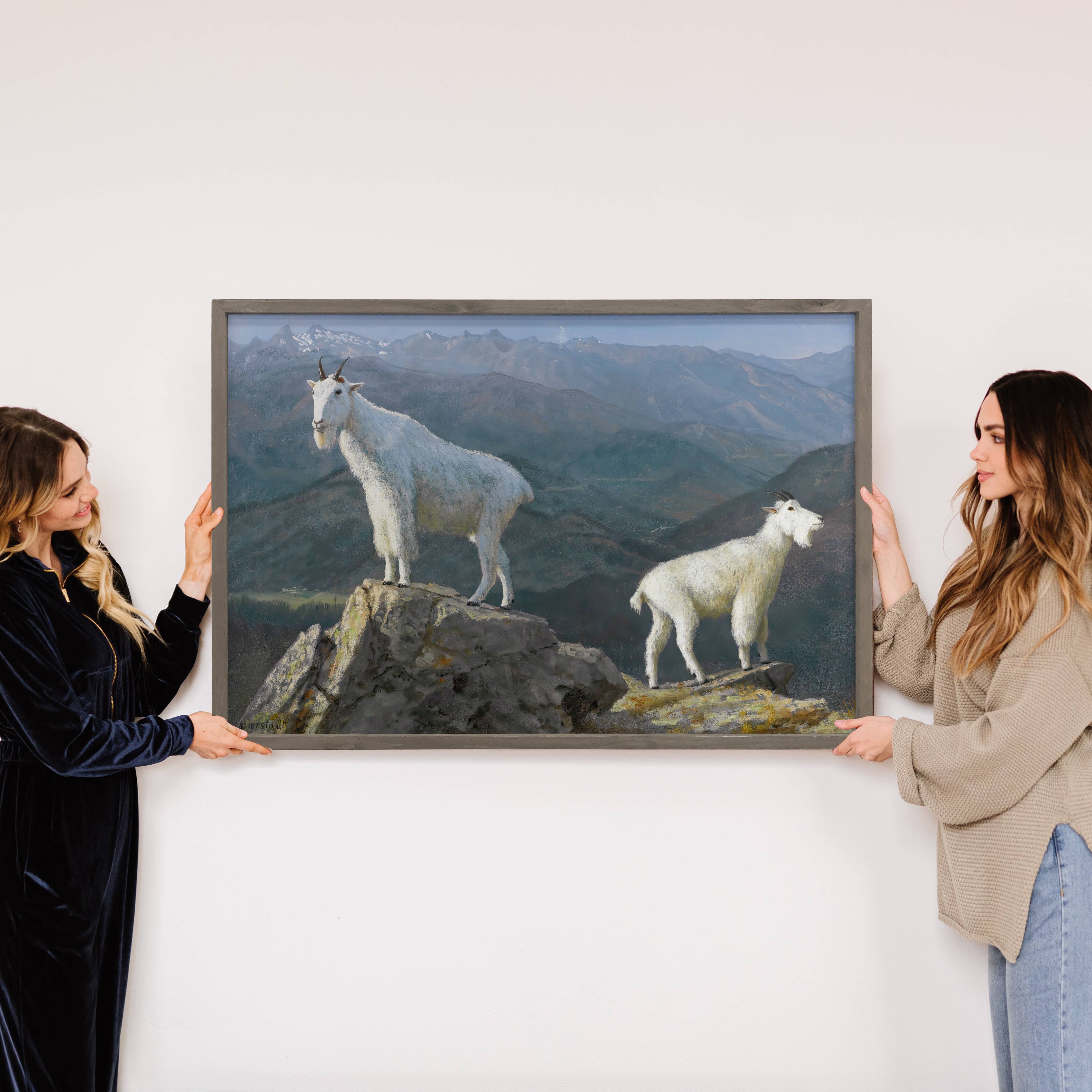 Mountain Goat Painting - Mountain Goat Canvas Art - Framed