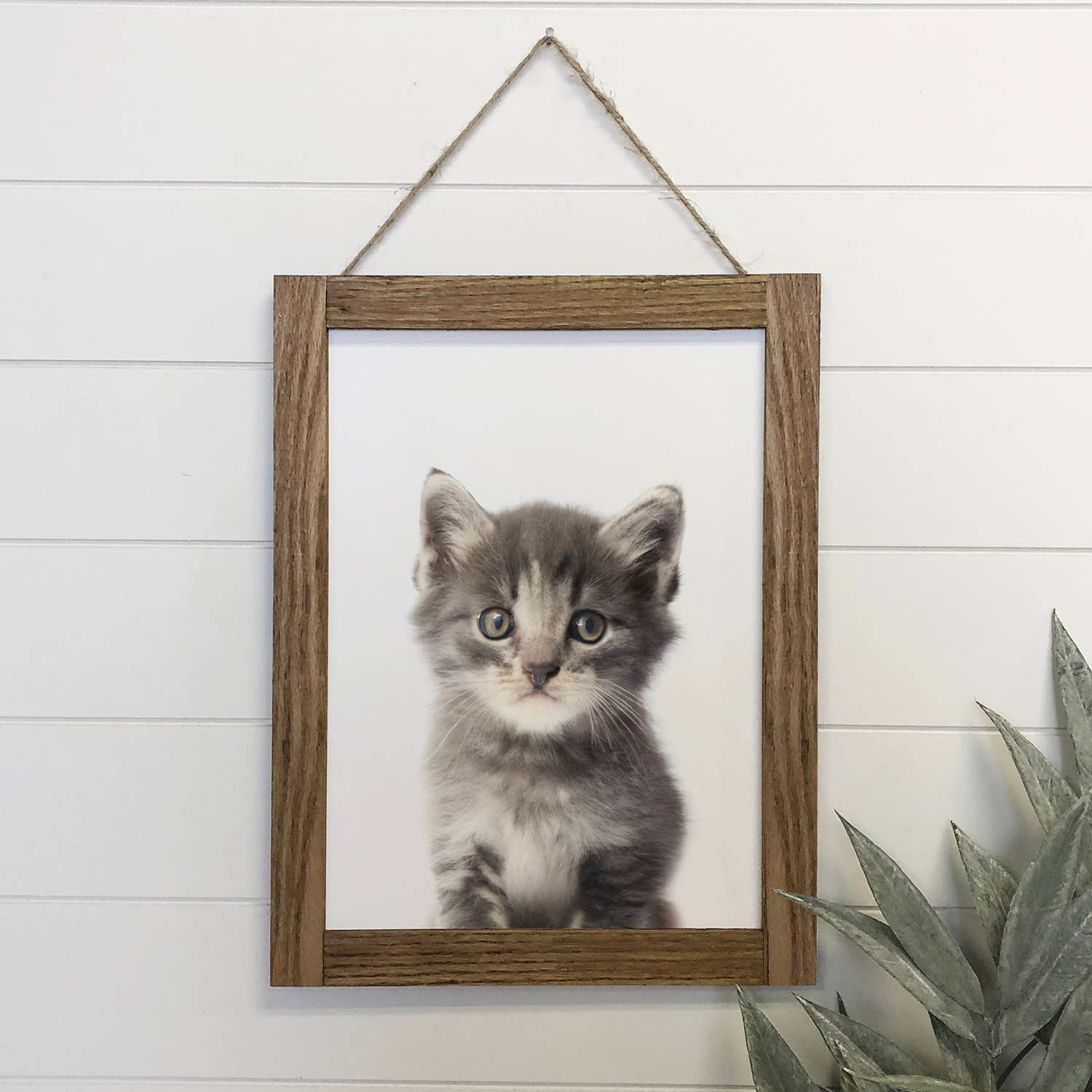 Baby Cat Wood Sign Kitten Cute Kid's Room Animal Wall Art