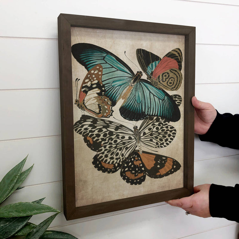 French Butterflies - Framed Nature Canvas Art - Farmhouse