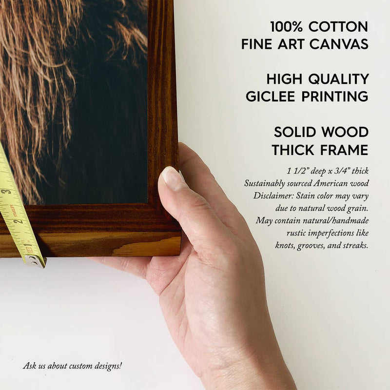 Highland Cow Sideways - Animal Photograph - Wood Framed Art