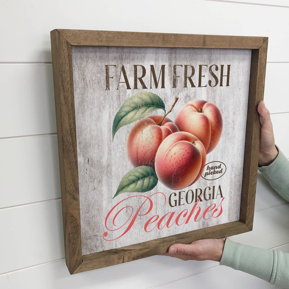 Farm Fresh Georgia Peaches - Farm Fruit Canvas Art - Framed