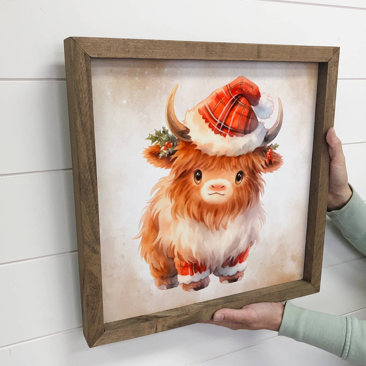 Cute Christmas Baby Highland Calf - Animal Holiday Canvas