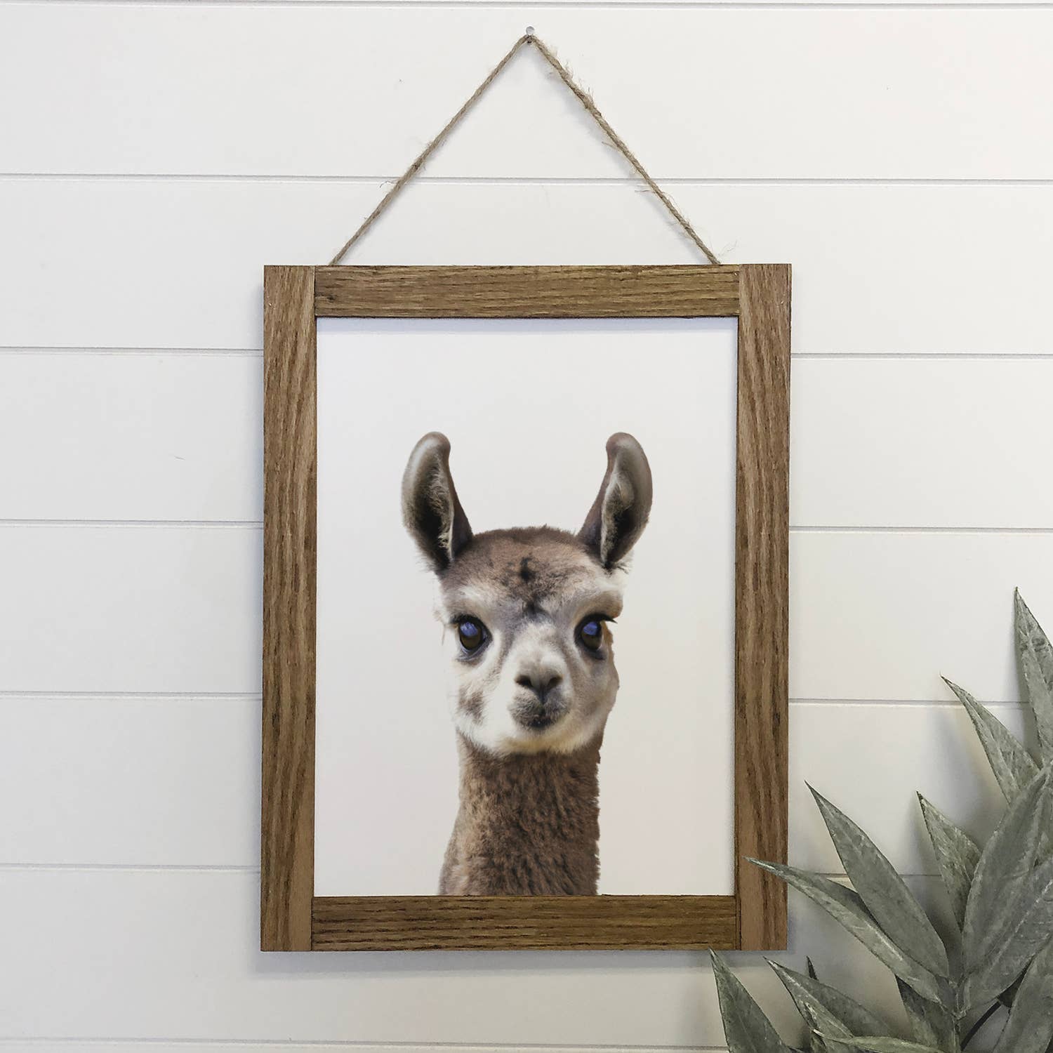 Baby Llama Wood Farmhouse Sign Cute Animal Wall Art