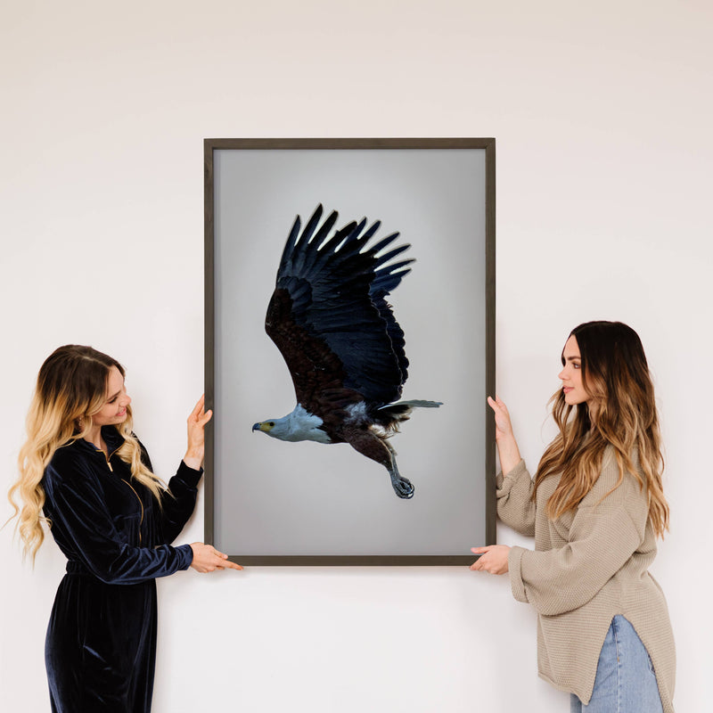 Eagle in Flight - Eagle Photograph Canvas Art - Wood Framed