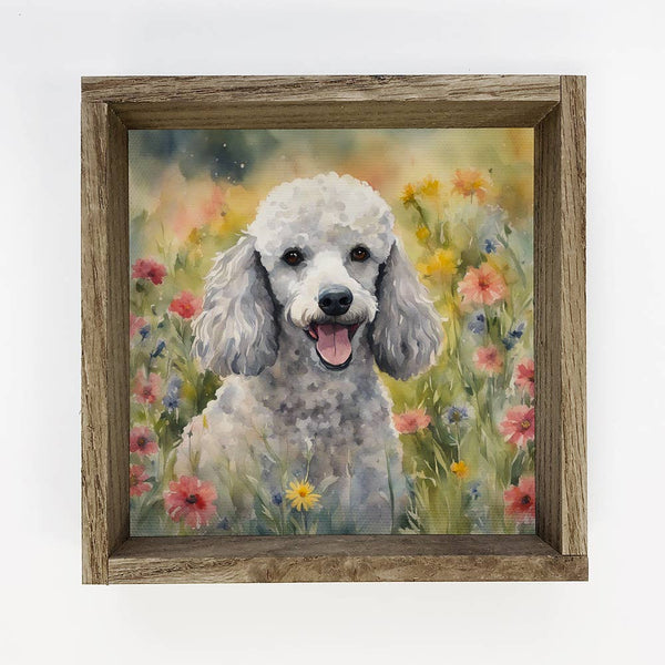 Wildflower Poodle - Springtime Dog Canvas Art - Wood Framed