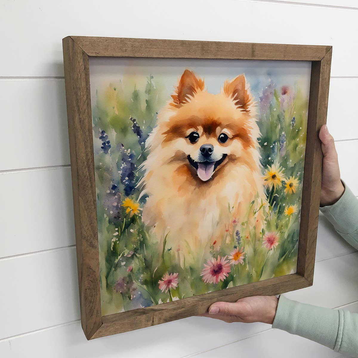 Wildflower Pomeranian - Springtime Dog Canvas Art - Framed